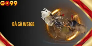 Đá Gà WS168 Bùng Nổ Sức Hút Với Loạt Trận Đấu Đỉnh Cao