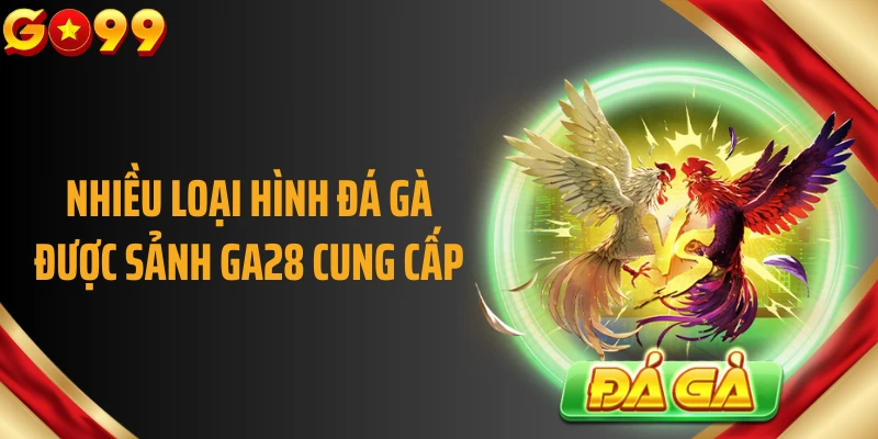 Nhiều loại hình đá gà được sảnh GA28 cung cấp