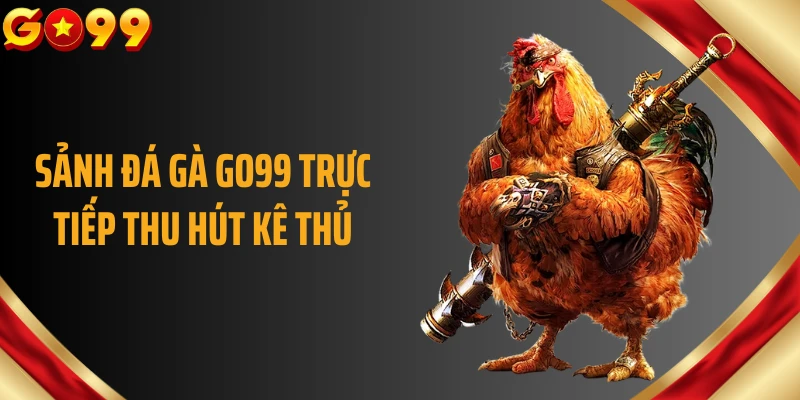 Sảnh đá gà GO99 trực tiếp thu hút kê thủ