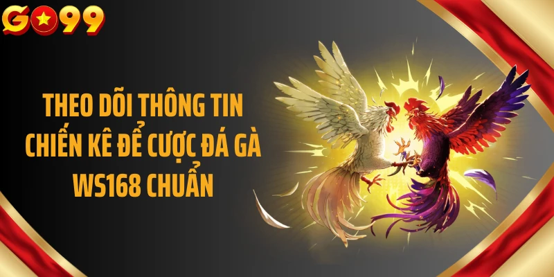 Theo dõi thông tin chiến kê để cược đá gà WS168 chuẩn