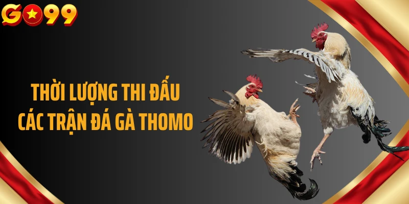 Thời lượng thi đấu các trận đá gà Thomo